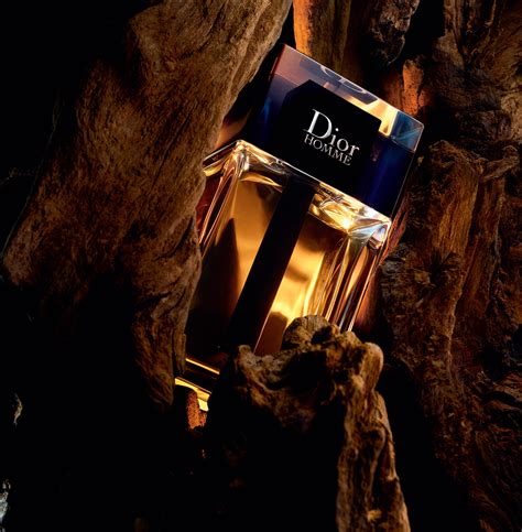 gonne dior 2020|dior cologne for men.